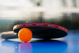 tischtennisschlaeger-tischtennisball-auf-tischtennisplatte-sg-wurgwitz-musterbild